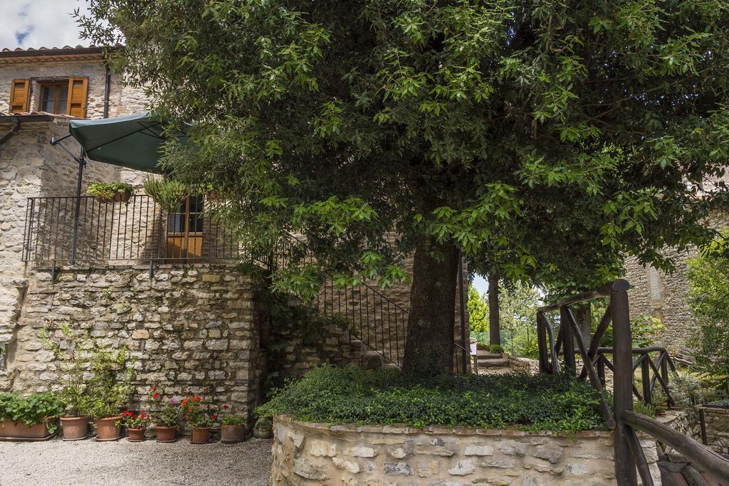 Agriturismo Monte Acuto Umbertide Room photo